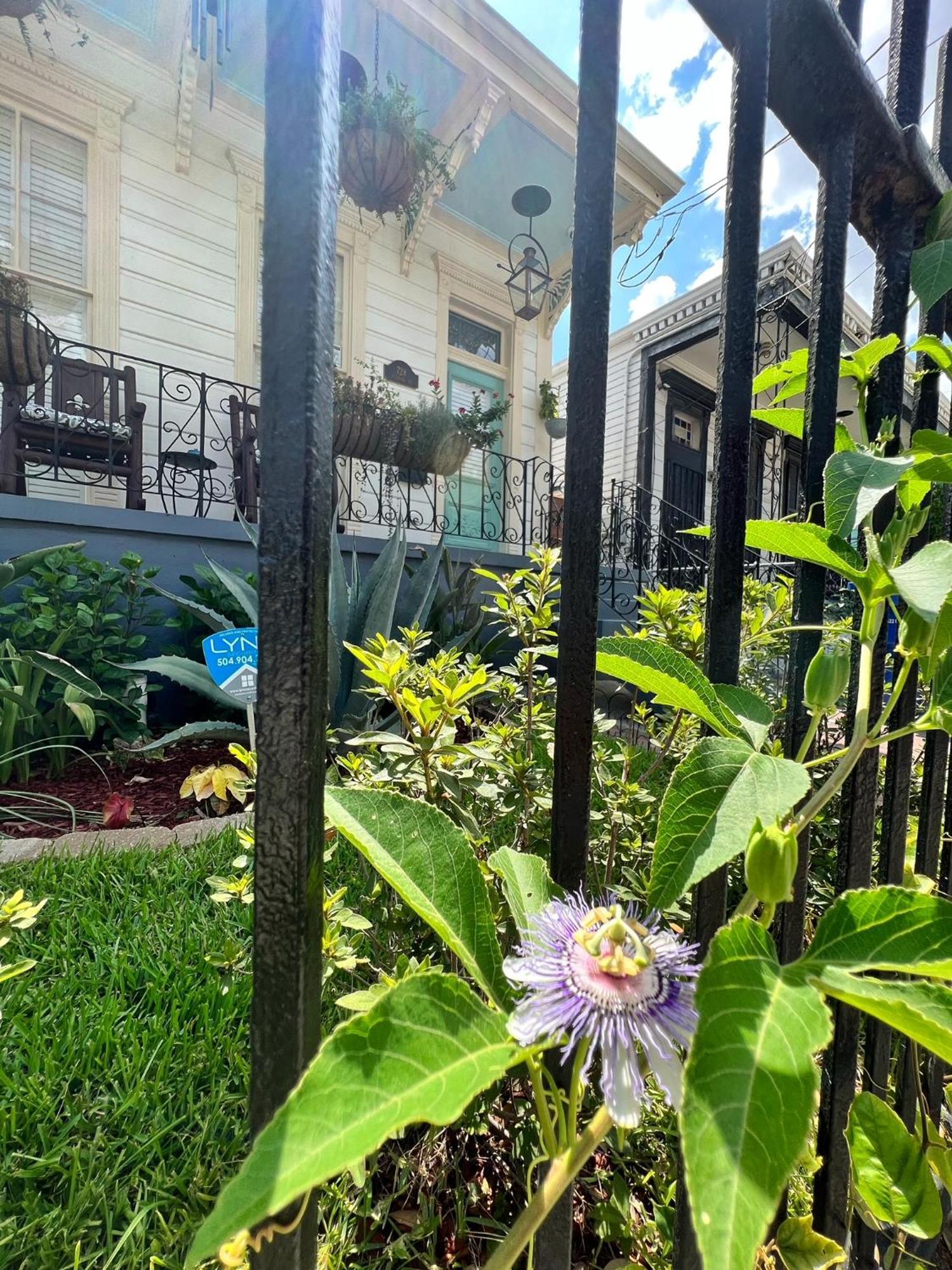 Luxury Historic Shotgun Home In Lower Garden District New Orleans Bagian luar foto